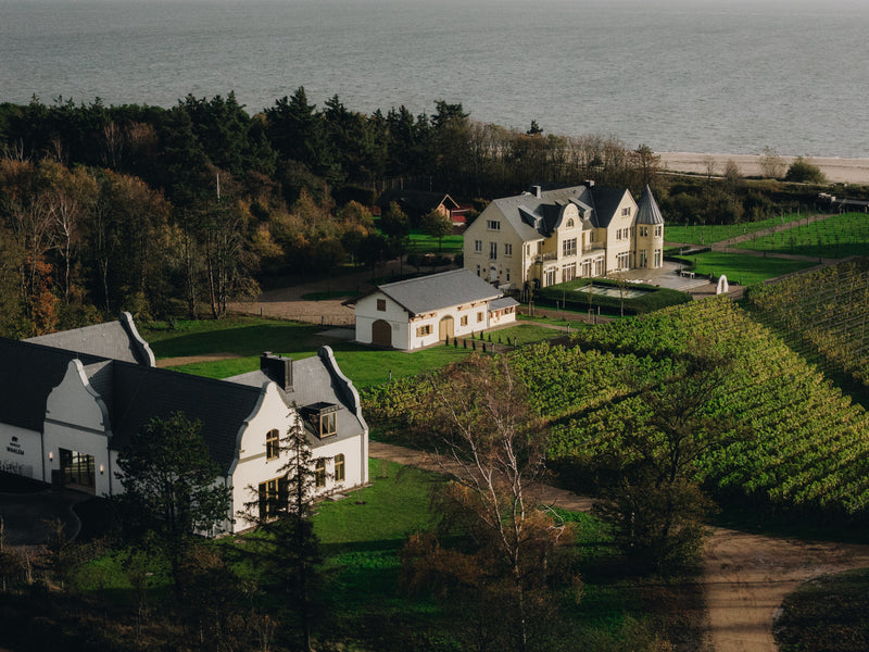 Föhr, Weingut Waalem